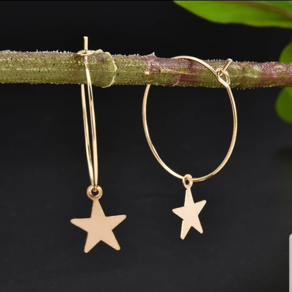 ☆Starla☆ Hoop Charm Earrings - Picture 2 of 6